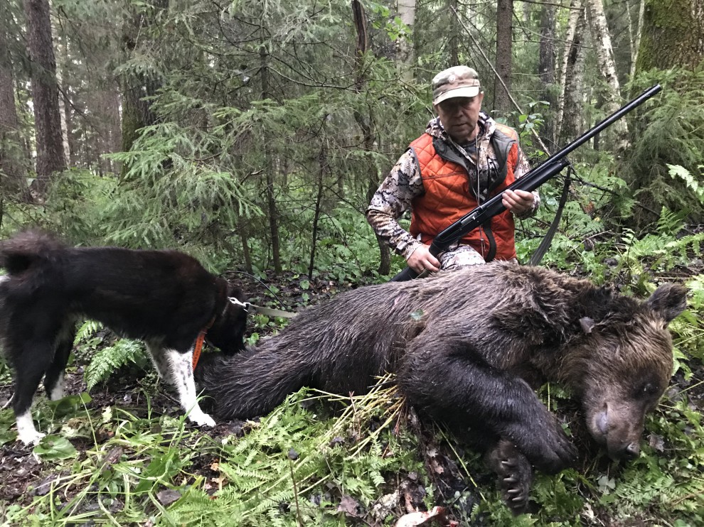 охота на медведя август 2021